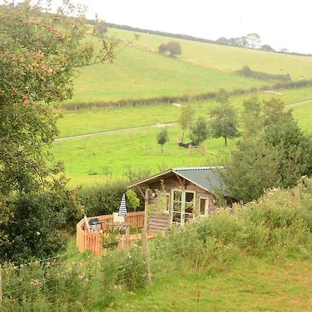 Woolcombe Cabin East Allington المظهر الخارجي الصورة