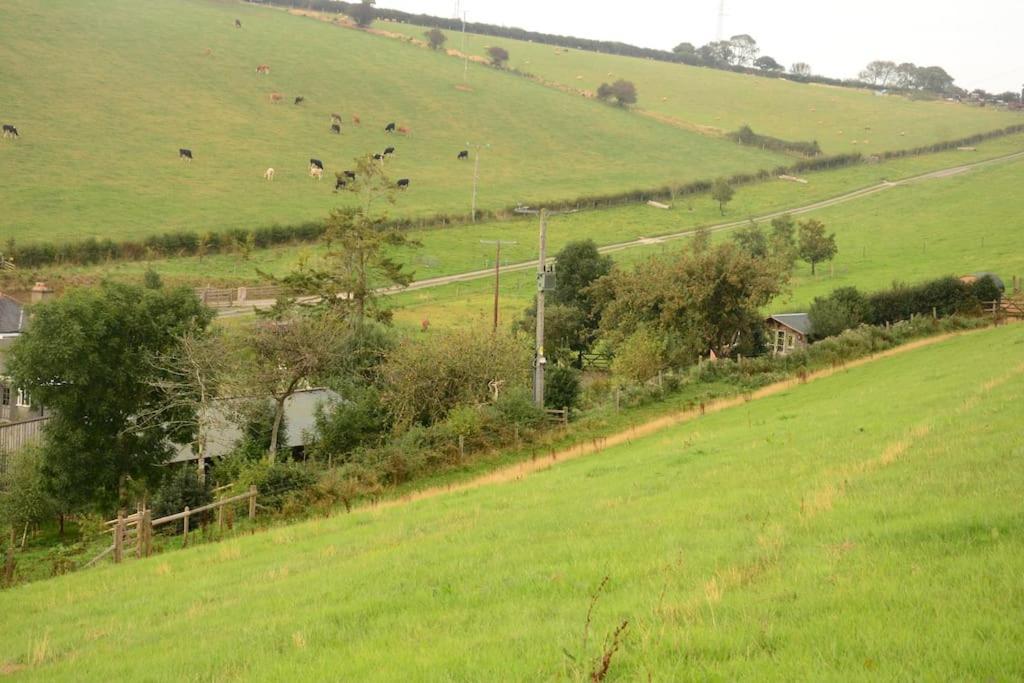 Woolcombe Cabin East Allington المظهر الخارجي الصورة